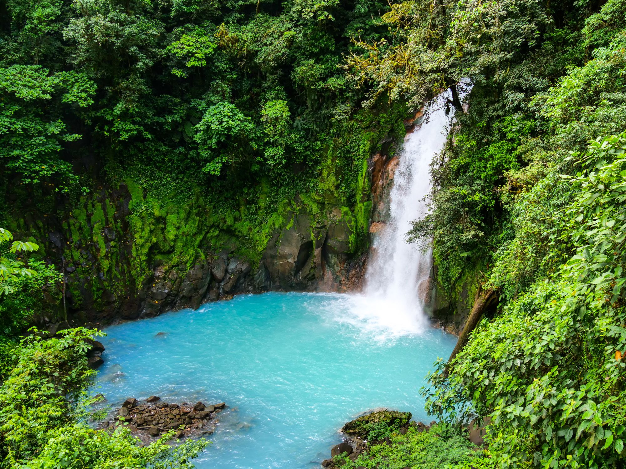 Parc national du volcan Tenorio