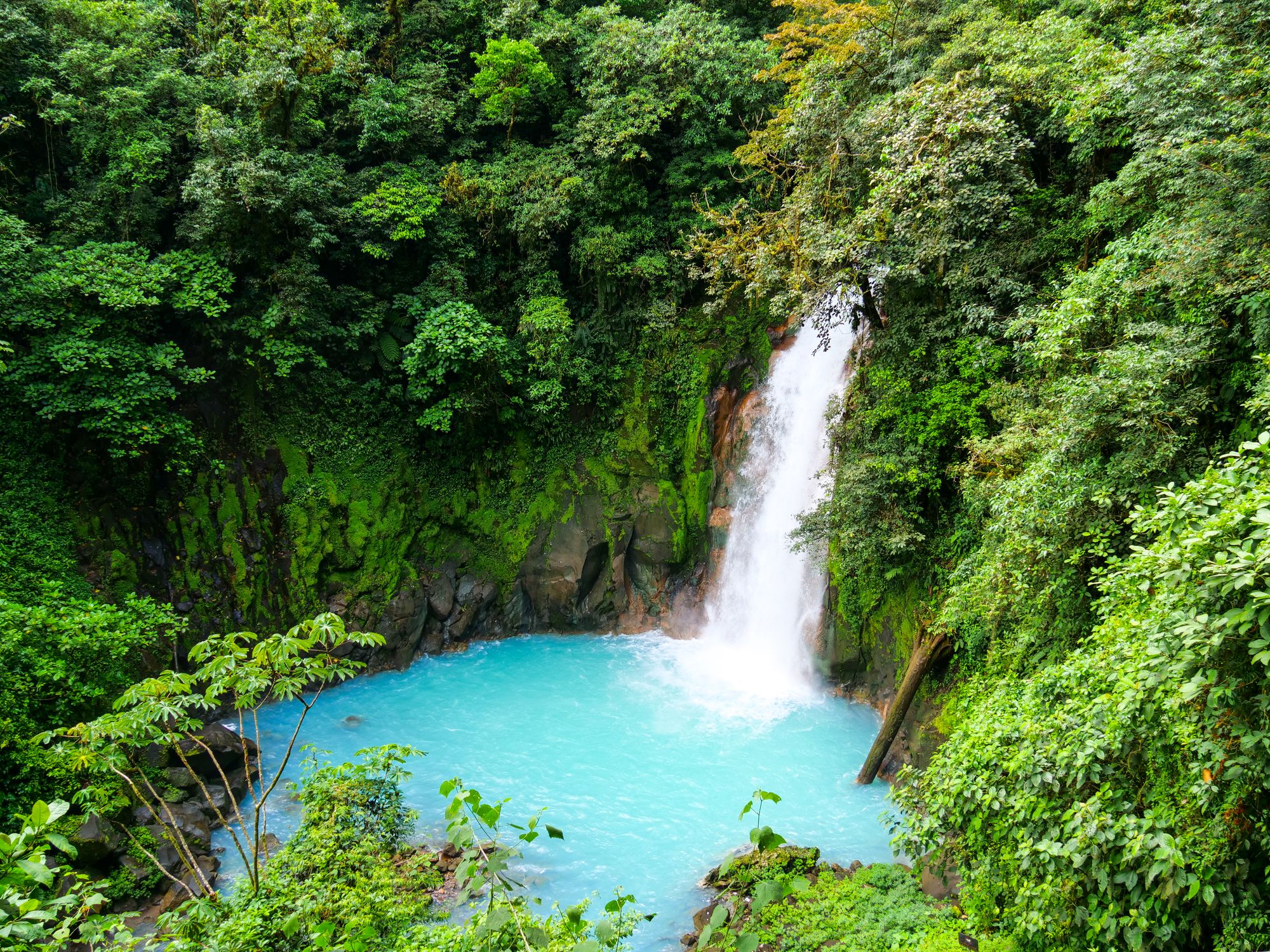 Cascade du Río Celeste