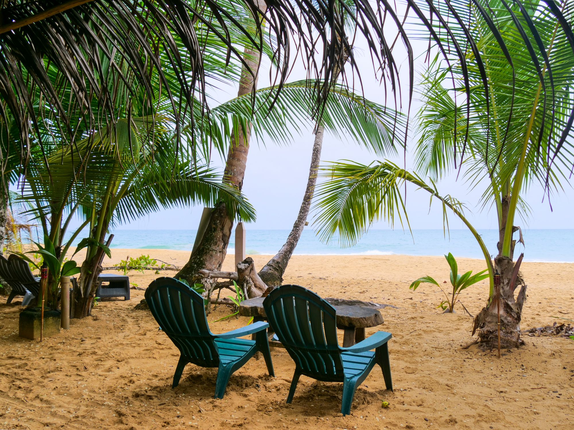 Chaises et table sous les palmiers devant la plage