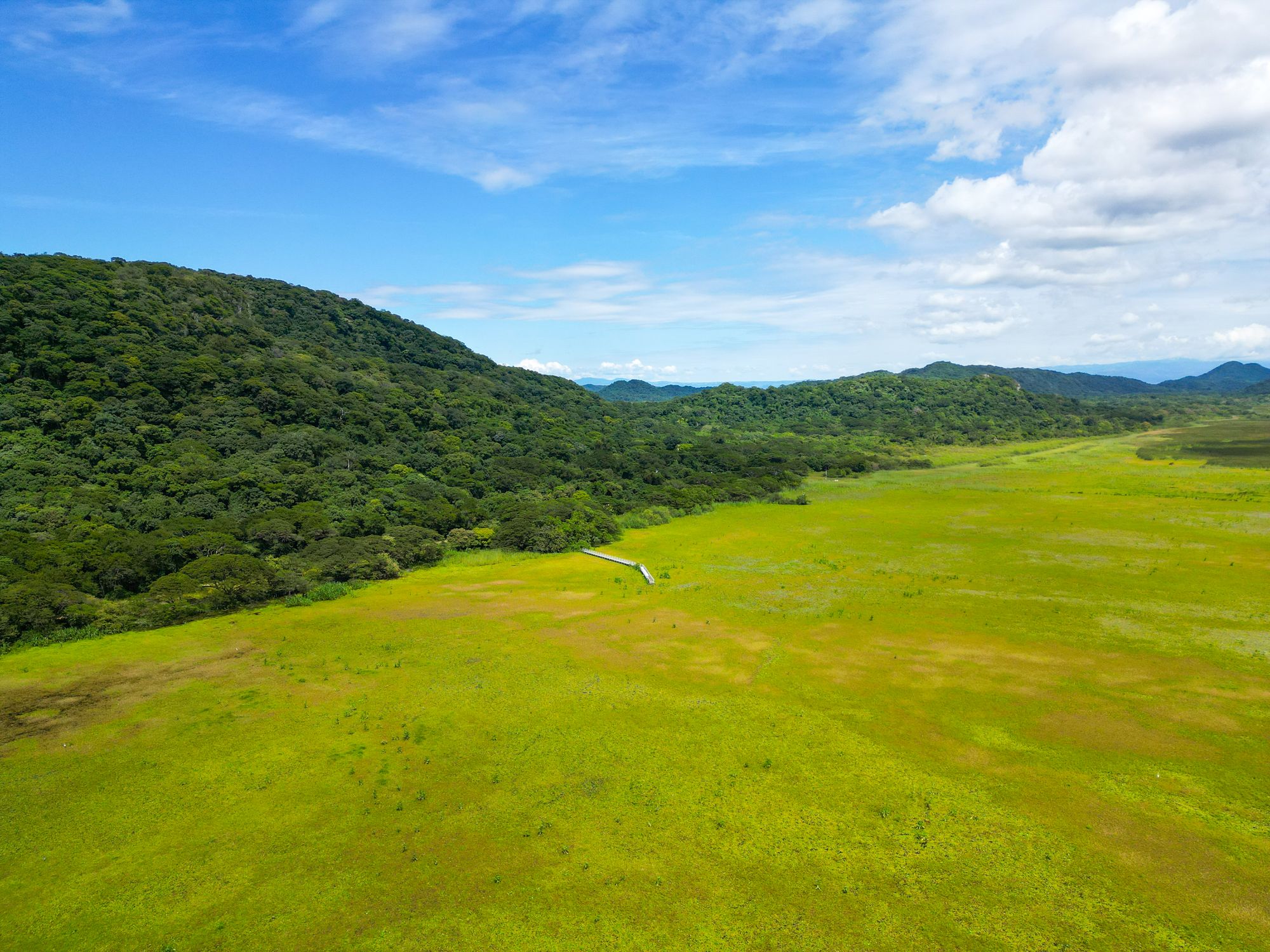 Parc national de Palo Verde vu du drone
