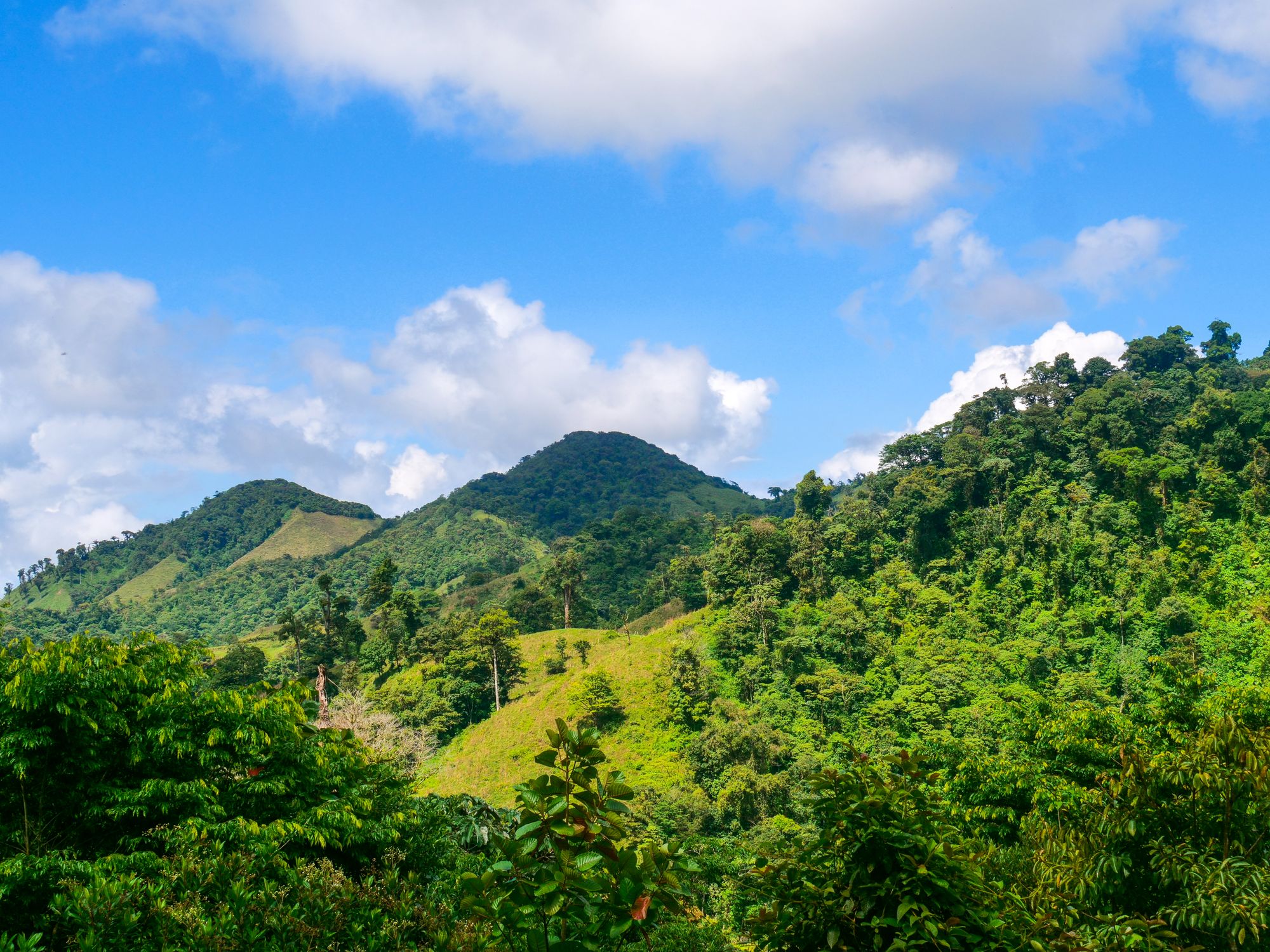 Montagne et jungle à Monteverde et Santa Elena
