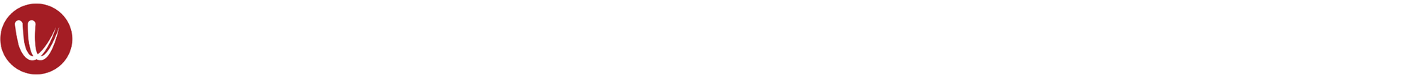 Logo de Windy