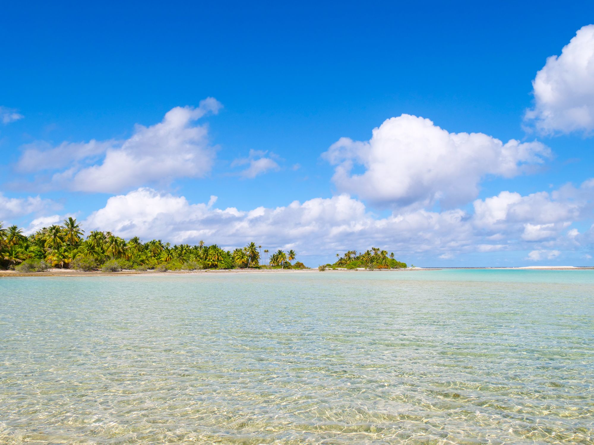 Îles aux alentours de Tetamanu