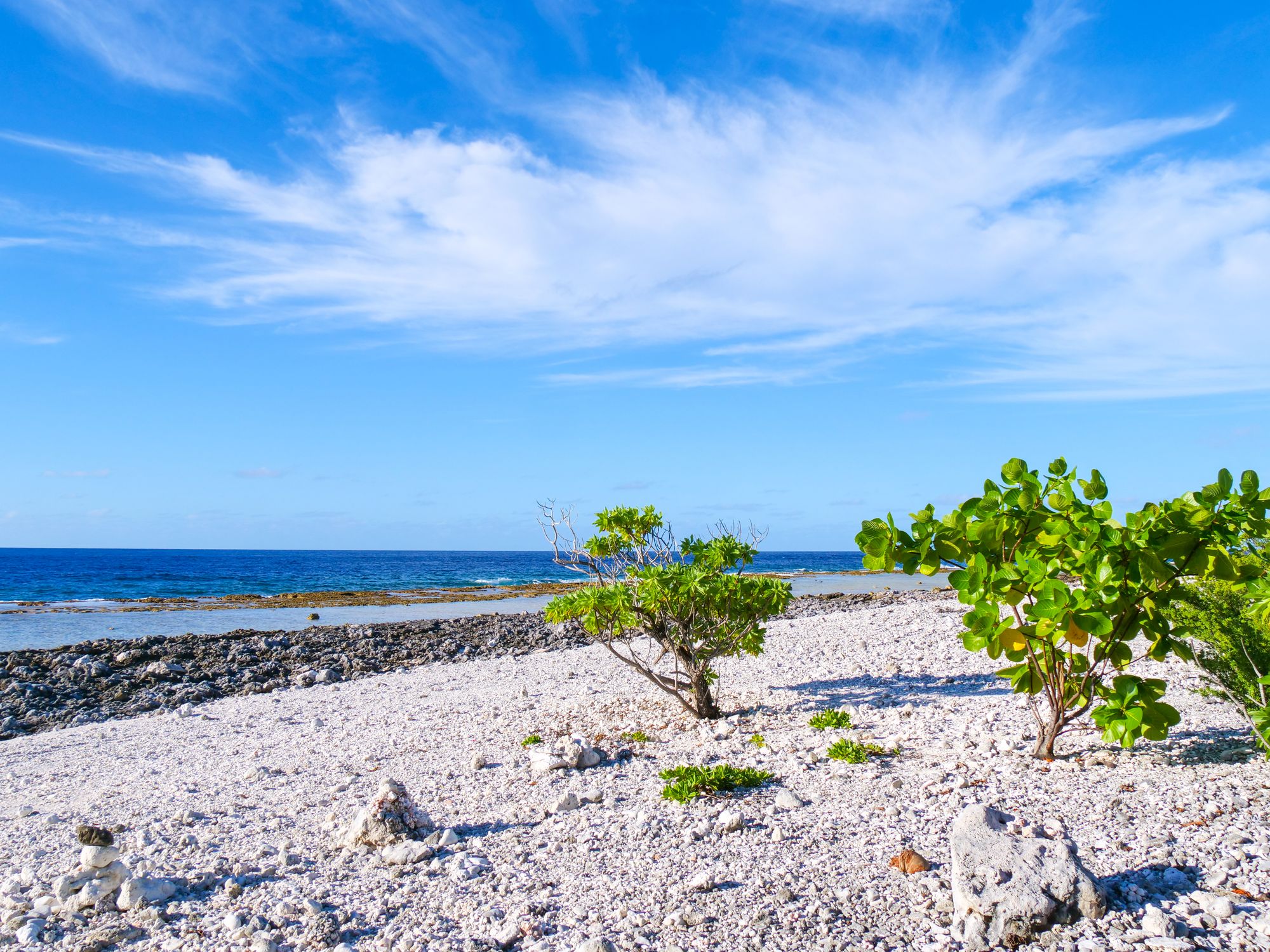 Plage de petits rochers avec de la végétation
