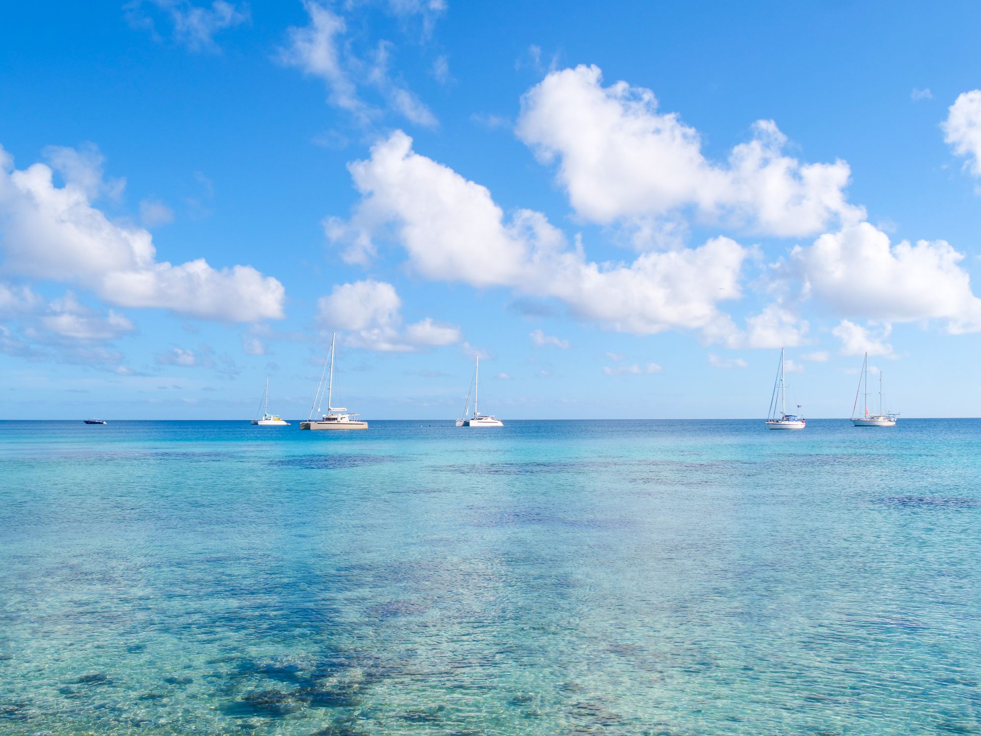 Bord de mer de Rotoava avec des voiliers stationnés