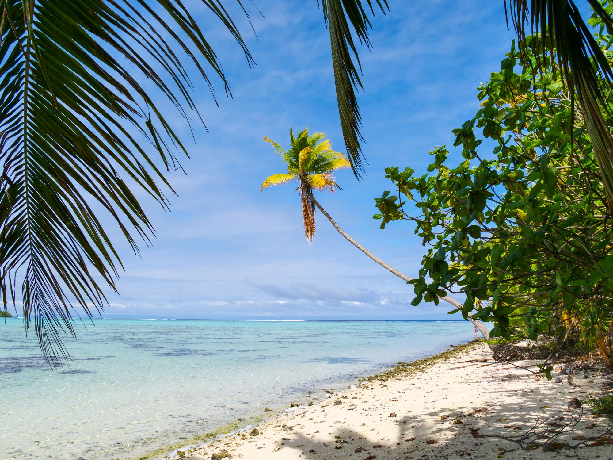 Plage de l'île de Tetiaroa