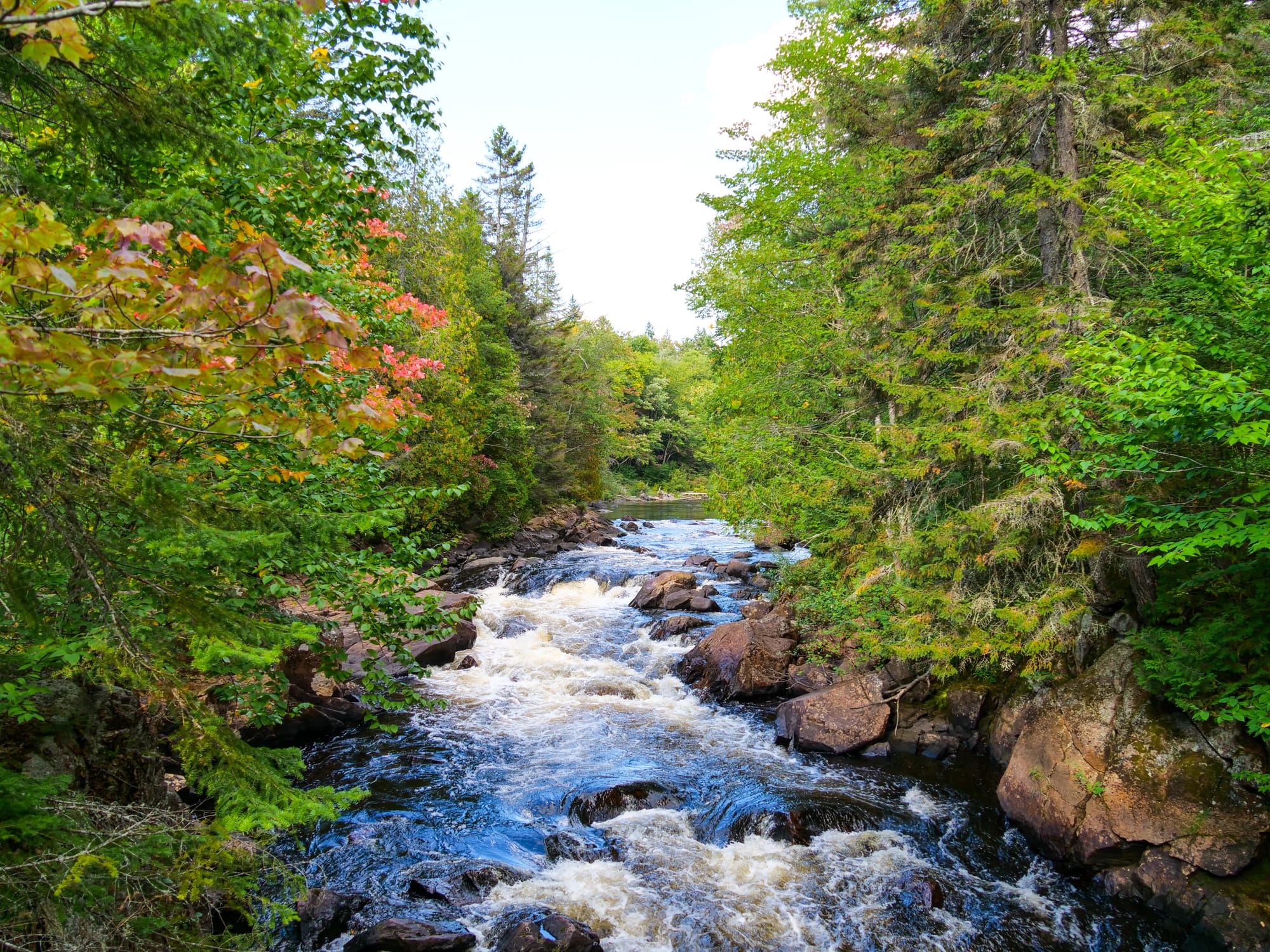 Rivière à proximité de la chute du Diable