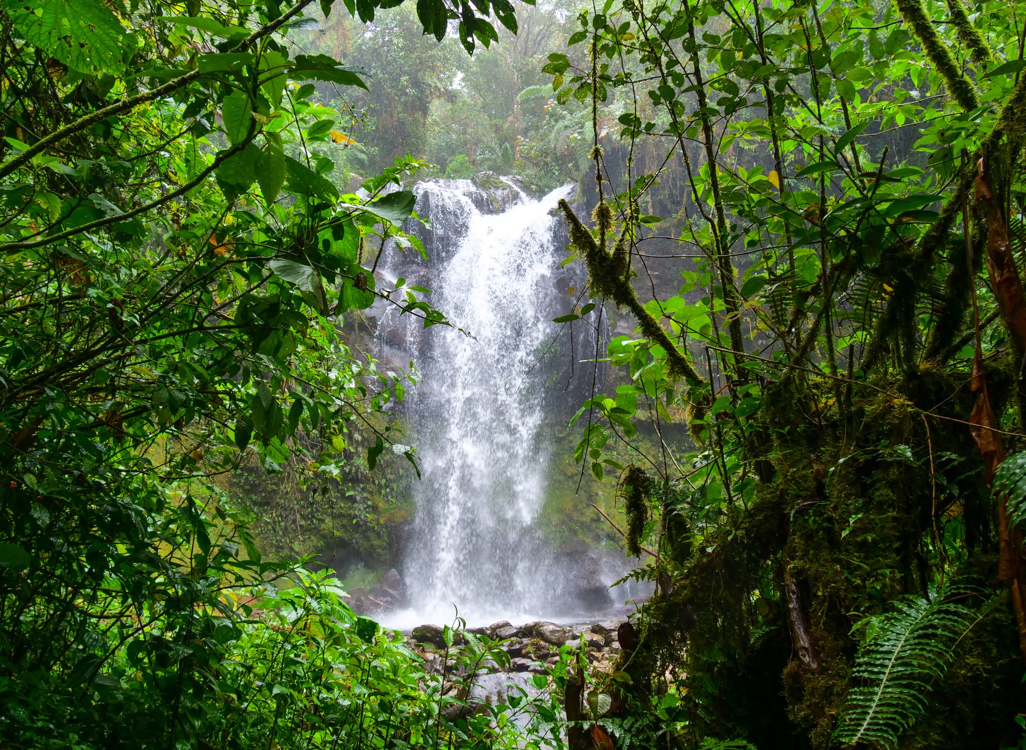 Cascade de la randonnée des Lost Waterfalls à Boquete